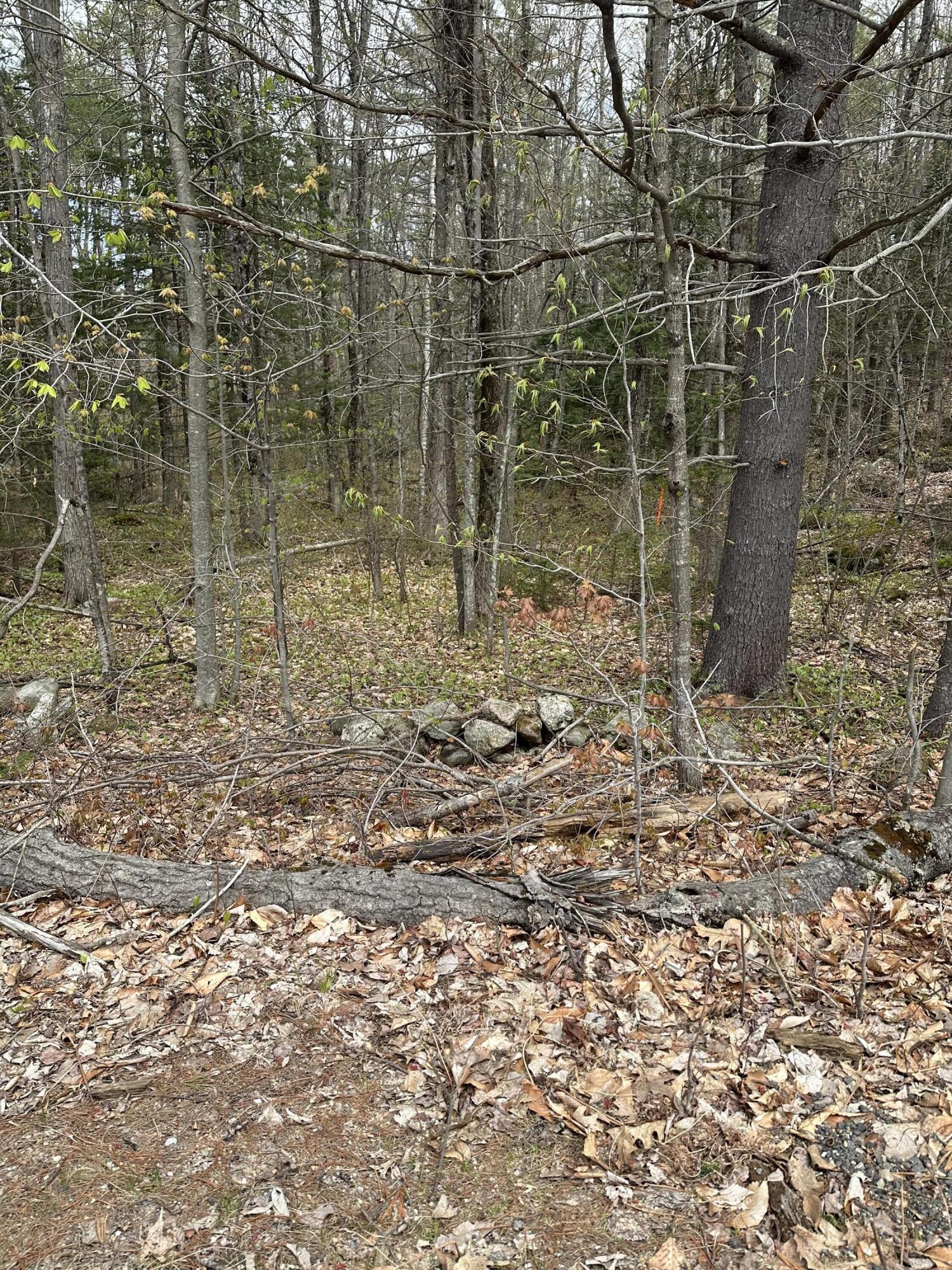 Lot #4 Moose Hill Road Livermore Falls, ME 04254 - Photo 1 of 2 IMG_4281