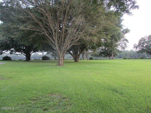 21808 John Holder Road Moss Point, MS 39562 - Photo 34 of 41 IMG_4717