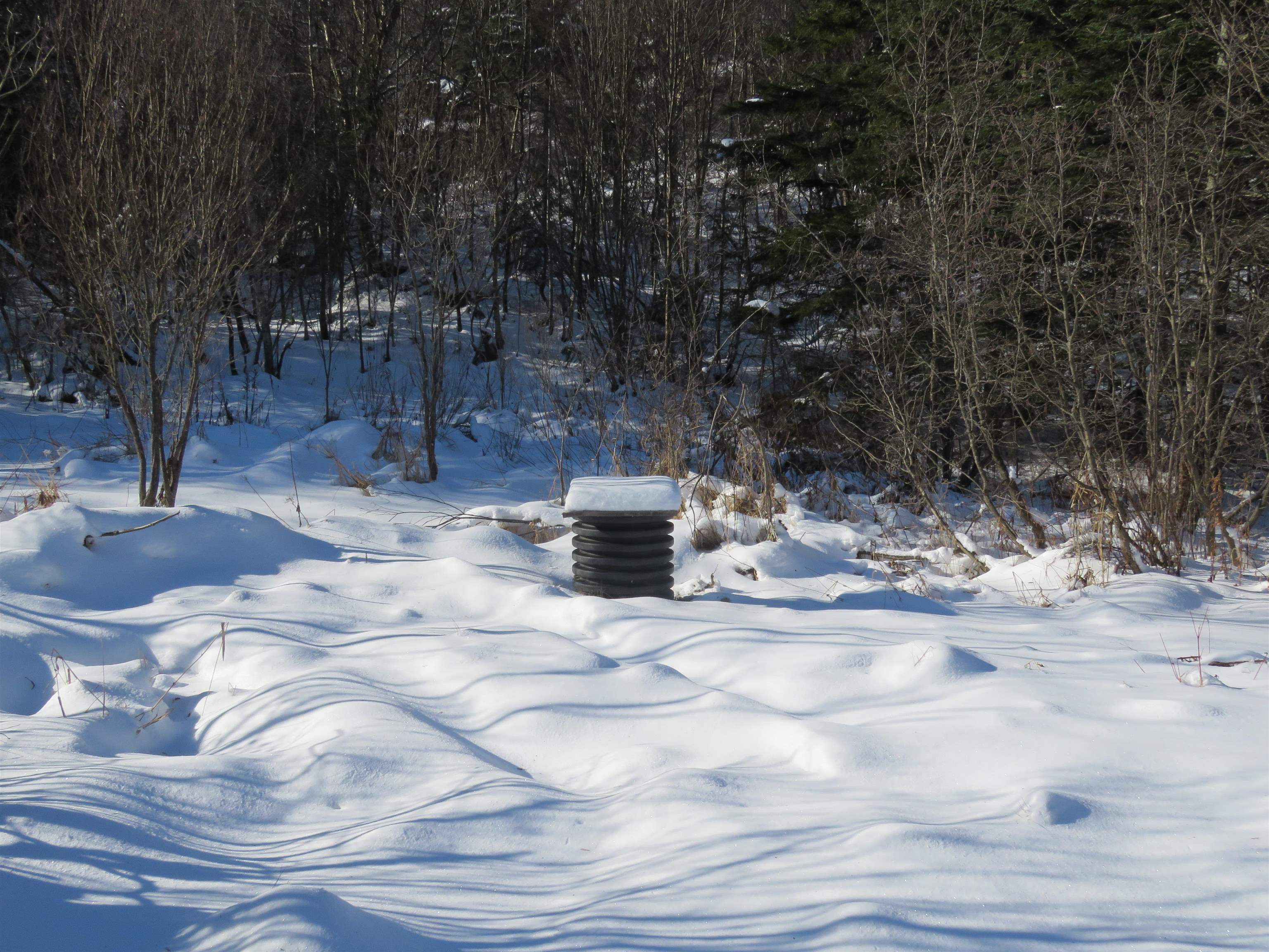 2641 Old Duck Pond Road Sheffield, VT 05866 - Photo 6 of 30