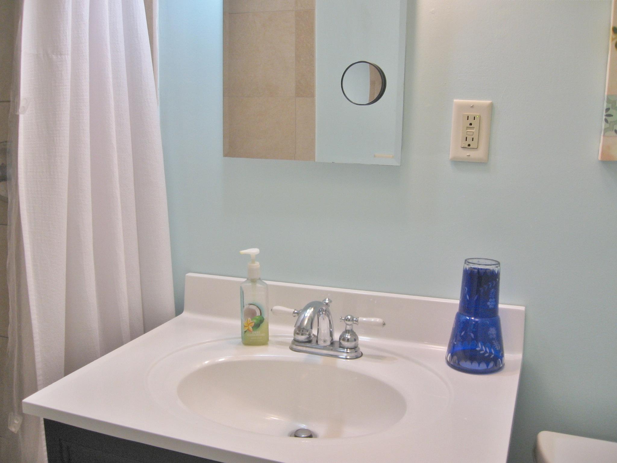 725 Tallwood Road Charleston, SC 29412 - Photo 10 of 14 IMG_4378