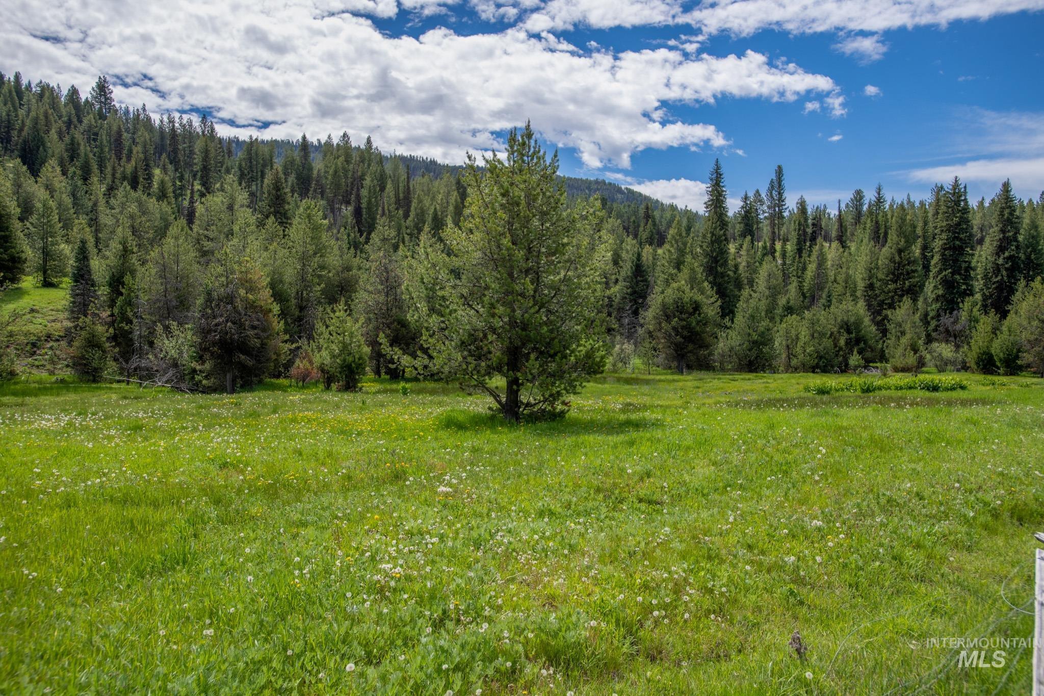 39 Clear Creek Road Cascade, ID 83611 - Photo 3 of 8