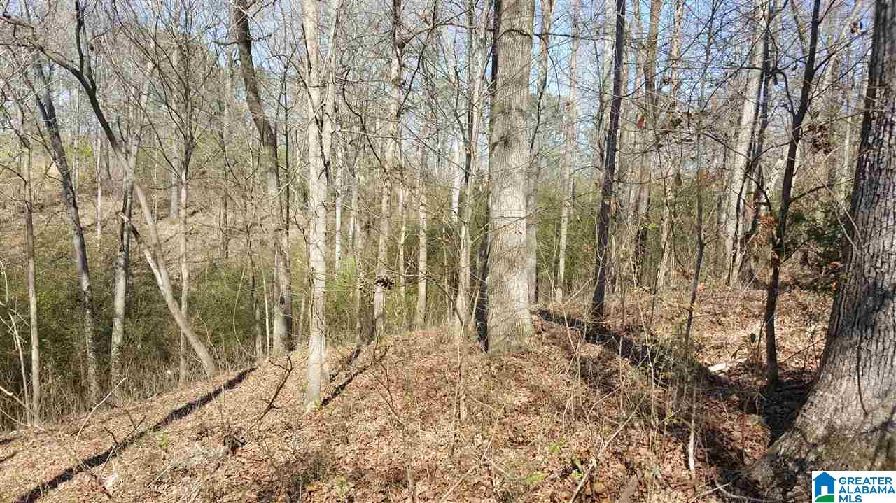 0 Copeland Ferry Road Cordova, AL 35550 - Photo 3 of 6 Gallery Image 3
