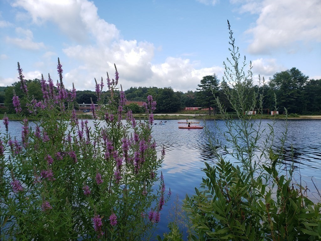 301 Lake Ellis Road Athol, MA 01331 - Photo 34 of 41 Gallery Image 34