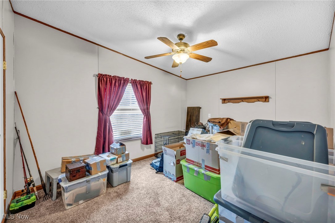27202 Cook Road, Unit 95 Olmsted Falls, OH 44138 - Photo 30 of 46 Storage area with ceiling fan