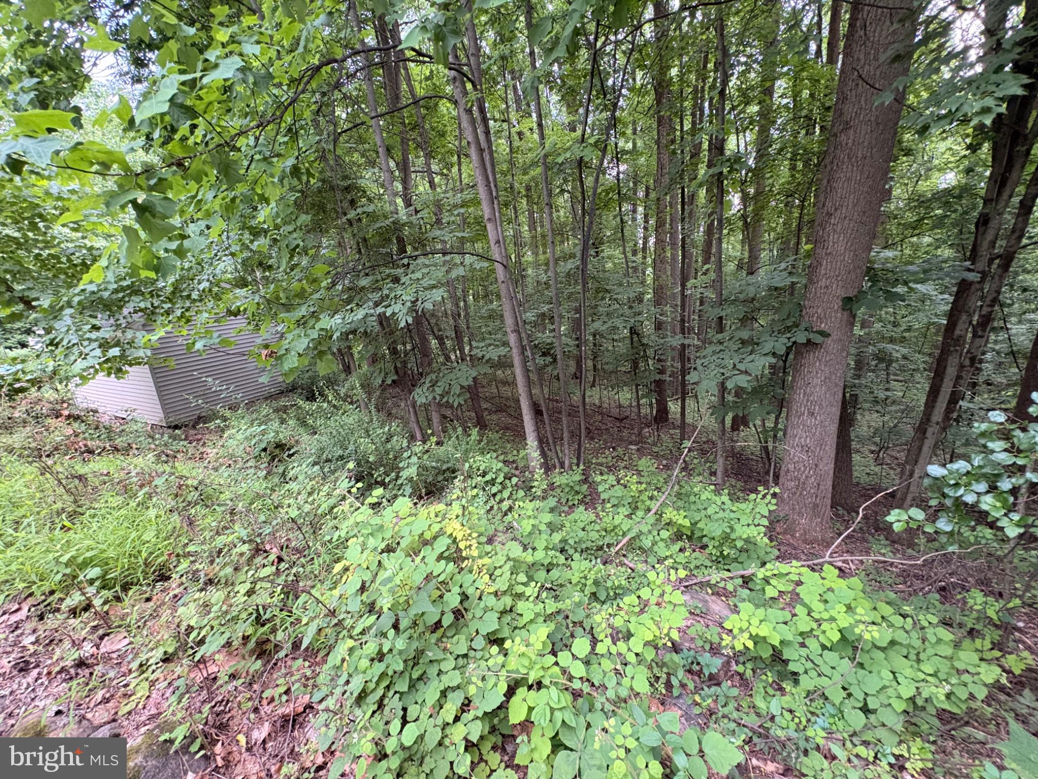 52 Hess Road Boyertown, PA 19512 - Photo 99 of 101 Serene woodland retreat awaits you.