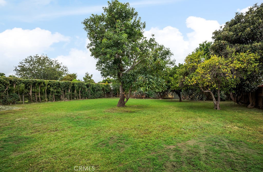 5323 Cogswell Road El Monte, CA 91732 - Photo 54 of 64 Back Yard with Avocado and other fruit trees
