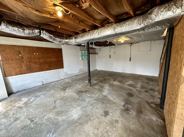 a view of a yard with a tree