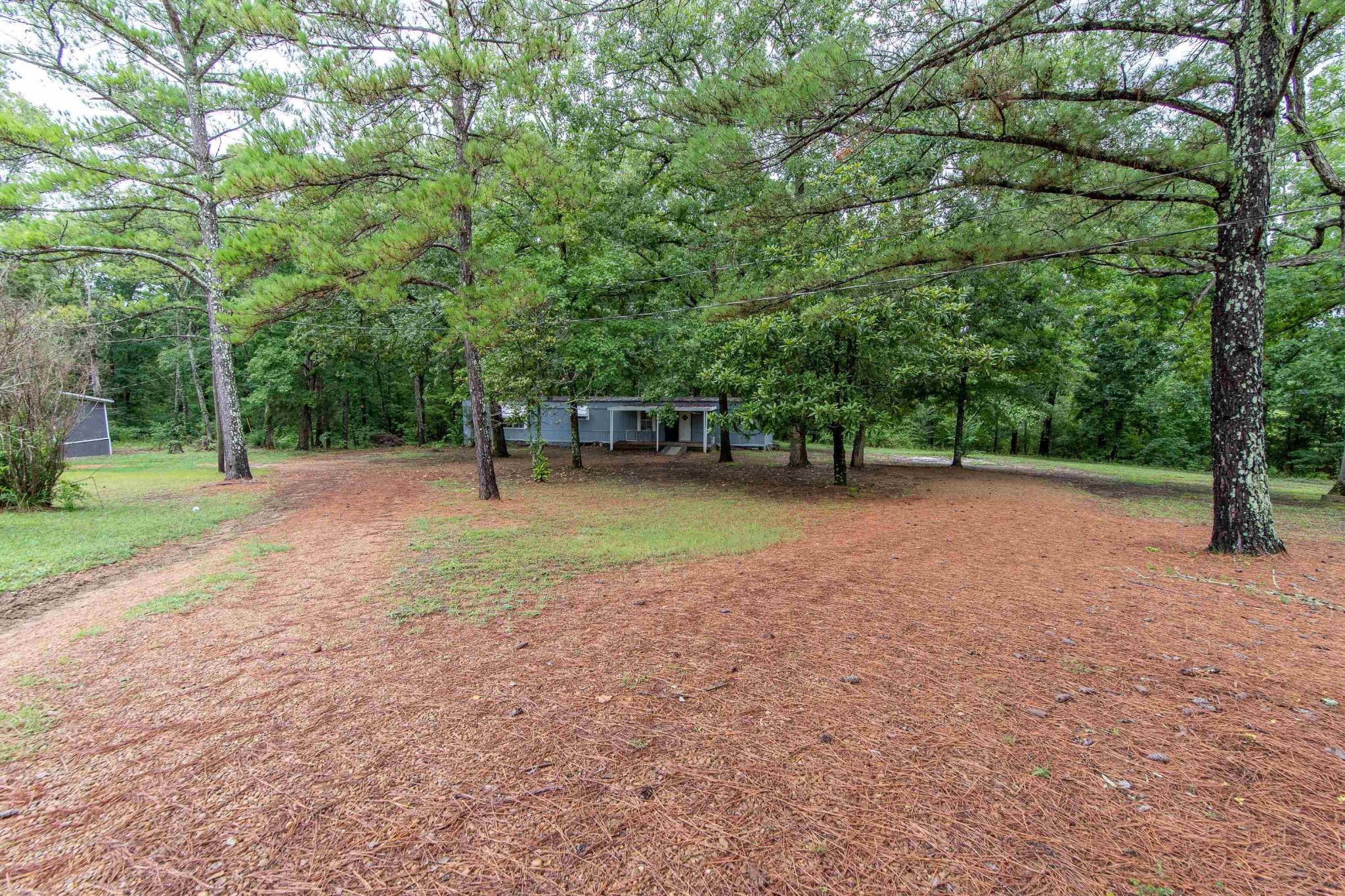 1017 Post Office Road Michie, TN 38357 - Photo 33 of 37 Gallery Image 33