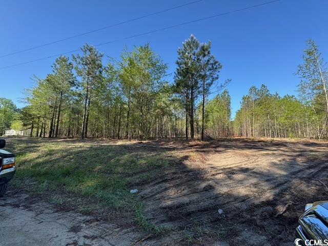 0 Barts Road Loris, SC 29569 - Photo 1 of 14 View of yard with a view of trees