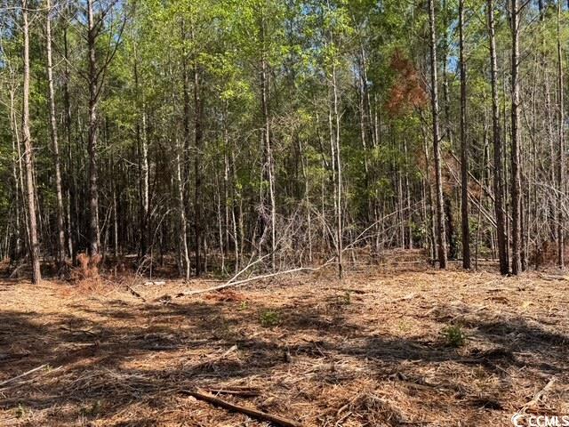 0 Barts Road Loris, SC 29569 - Photo 11 of 14 View of local wilderness with a view of trees