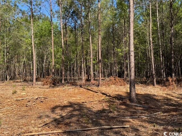 0 Barts Road Loris, SC 29569 - Photo 12 of 14 View of landscape with a forest view