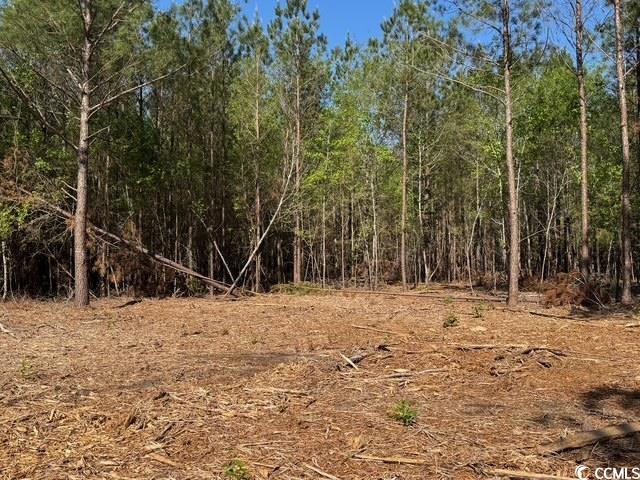 0 Barts Road Loris, SC 29569 - Photo 13 of 14 View of landscape featuring a wooded view