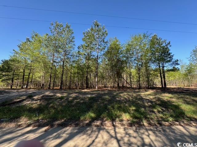 0 Barts Road Loris, SC 29569 - Photo 14 of 14 View of yard