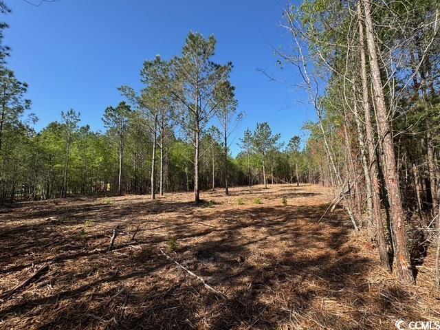 0 Barts Road Loris, SC 29569 - Photo 3 of 14 View of nature with a forest view