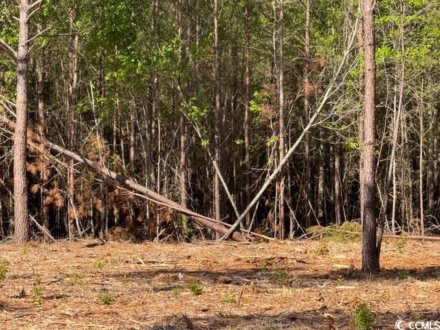 0 Barts Road Loris, SC 29569 - Photo 4 of 14 View of landscape with a forest view