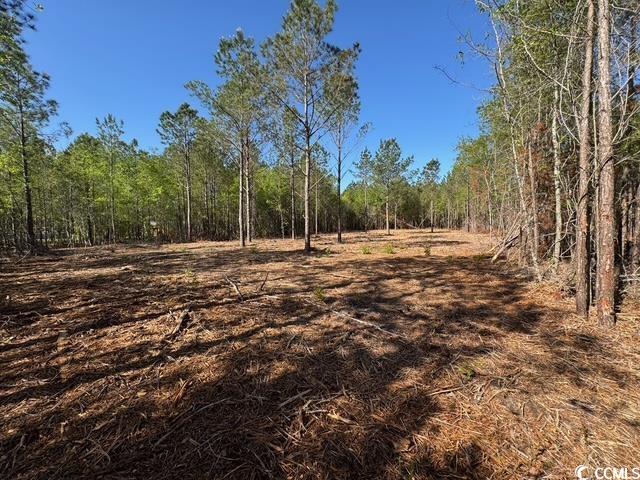 0 Barts Road Loris, SC 29569 - Photo 5 of 14 View of local wilderness with a wooded view