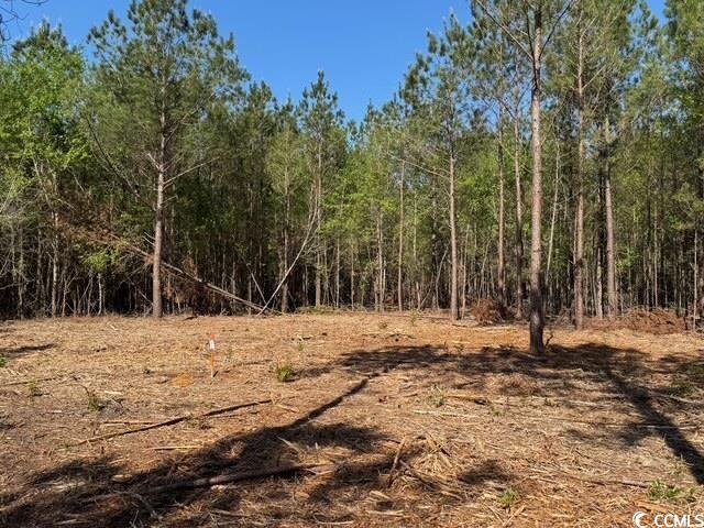 0 Barts Road Loris, SC 29569 - Photo 6 of 14 View of nature featuring a view of trees