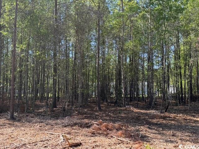 0 Barts Road Loris, SC 29569 - Photo 7 of 14 View of local wilderness featuring a forest view