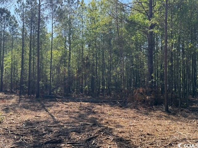0 Barts Road Loris, SC 29569 - Photo 8 of 14 View of nature with a wooded view