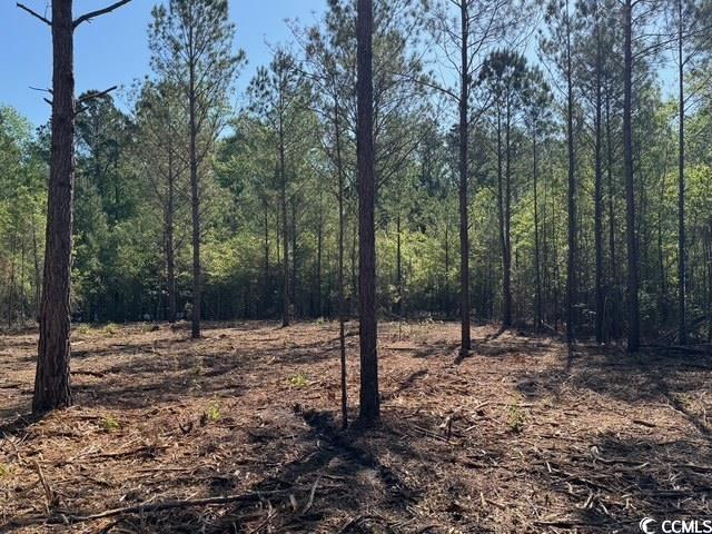 0 Barts Road Loris, SC 29569 - Photo 9 of 14 View of local wilderness with a wooded view