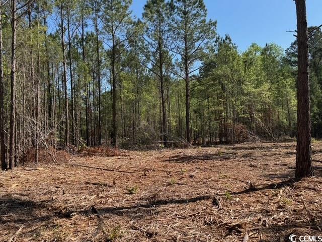 0 Barts Road Loris, SC 29569 - Photo 10 of 14 View of nature featuring a wooded view