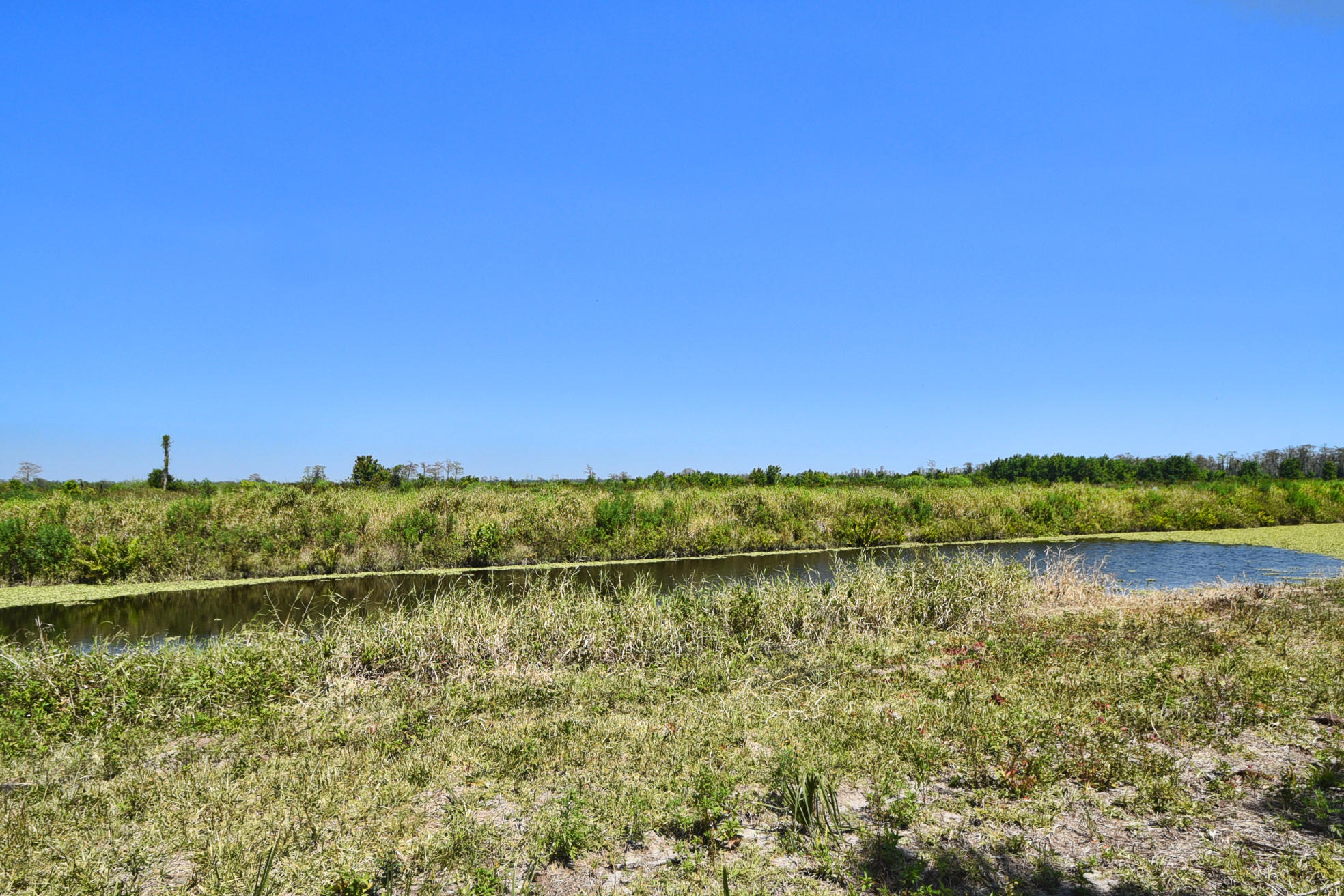 11841 Preservation Lane Boca Raton, FL 33498 - Photo 14 of 54 DSC_8113