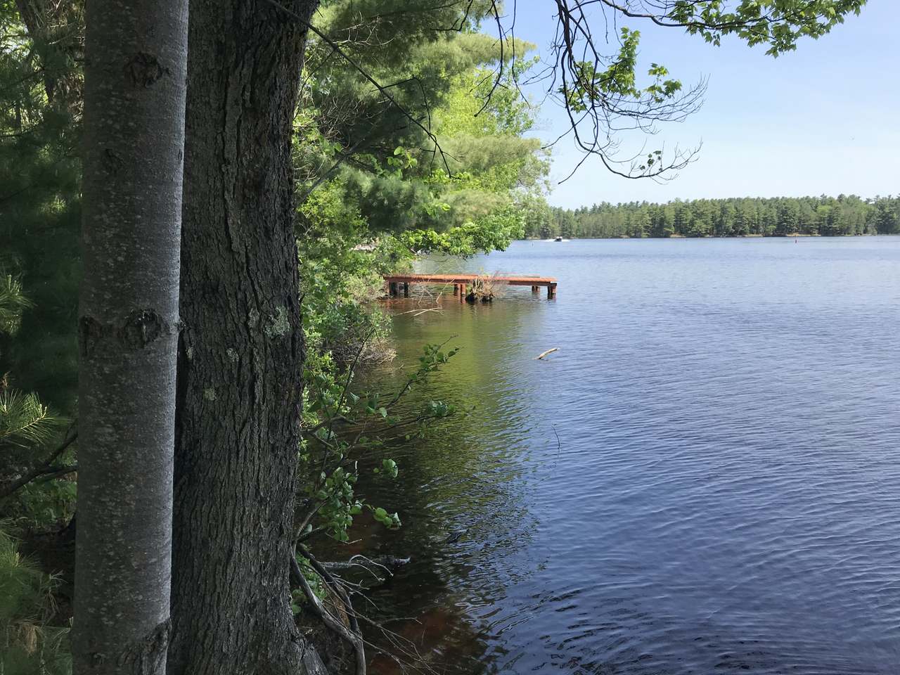 On Vlach Road Eagle River, WI 54521 - Photo 16 of 17 Gallery Image 16