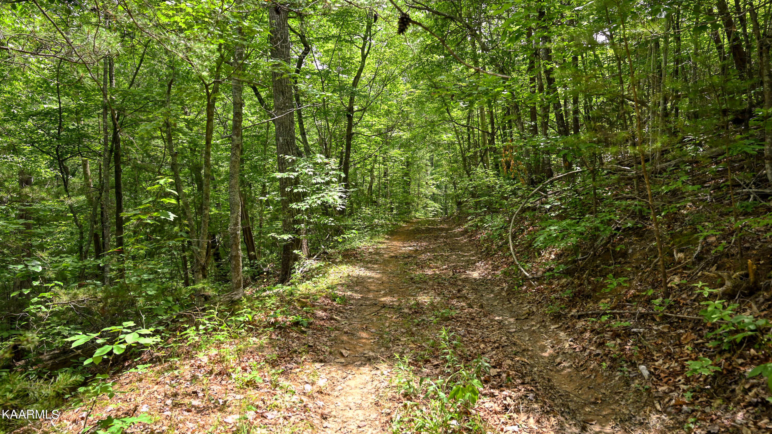 2049 Seagle Hollow Road Sevierville, TN 37876 - Photo 1 of 10 SL6_1030
