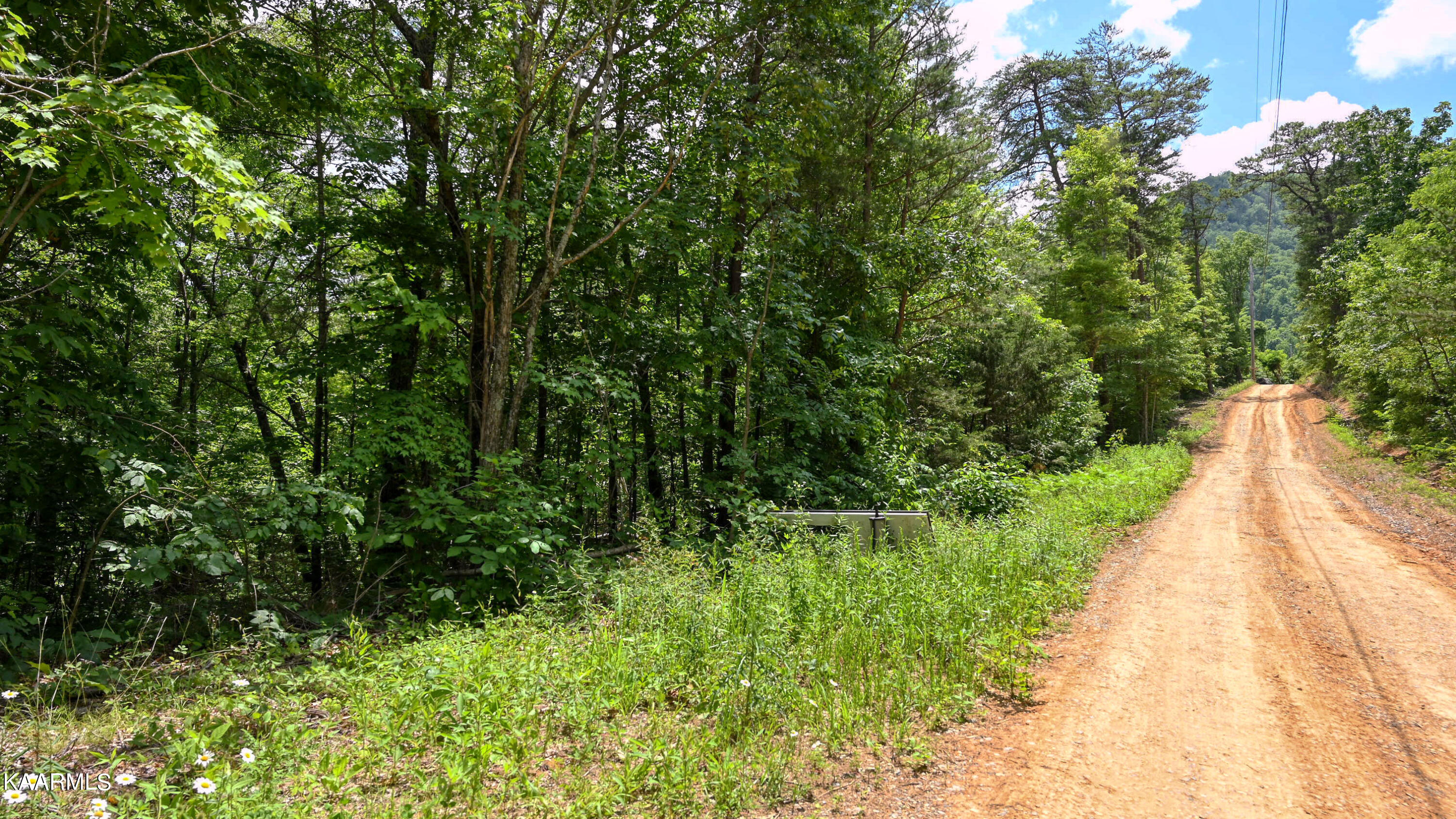 2049 Seagle Hollow Road Sevierville, TN 37876 - Photo 2 of 10 SL6_1023