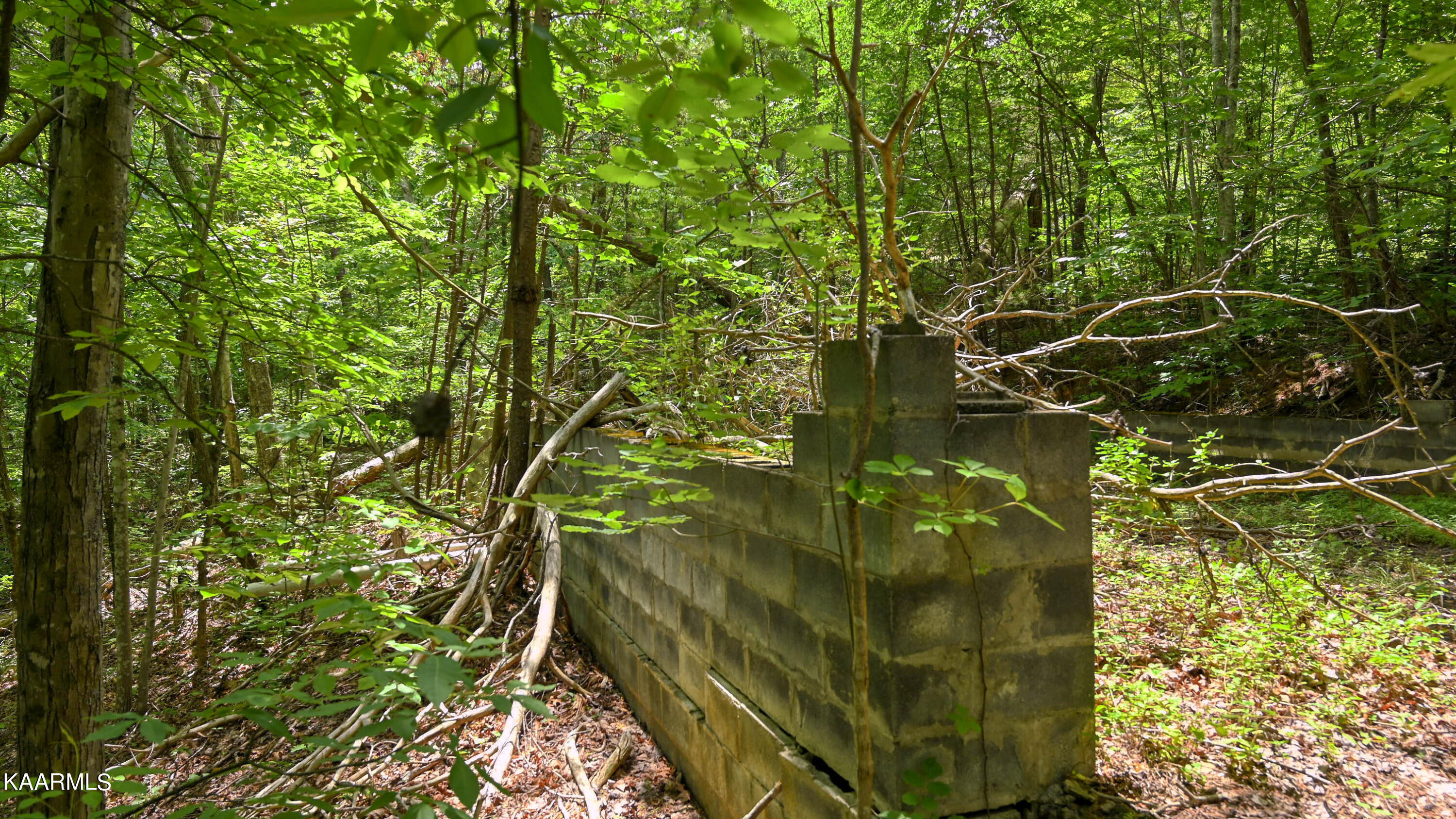 2049 Seagle Hollow Road Sevierville, TN 37876 - Photo 7 of 10 SL6_1028