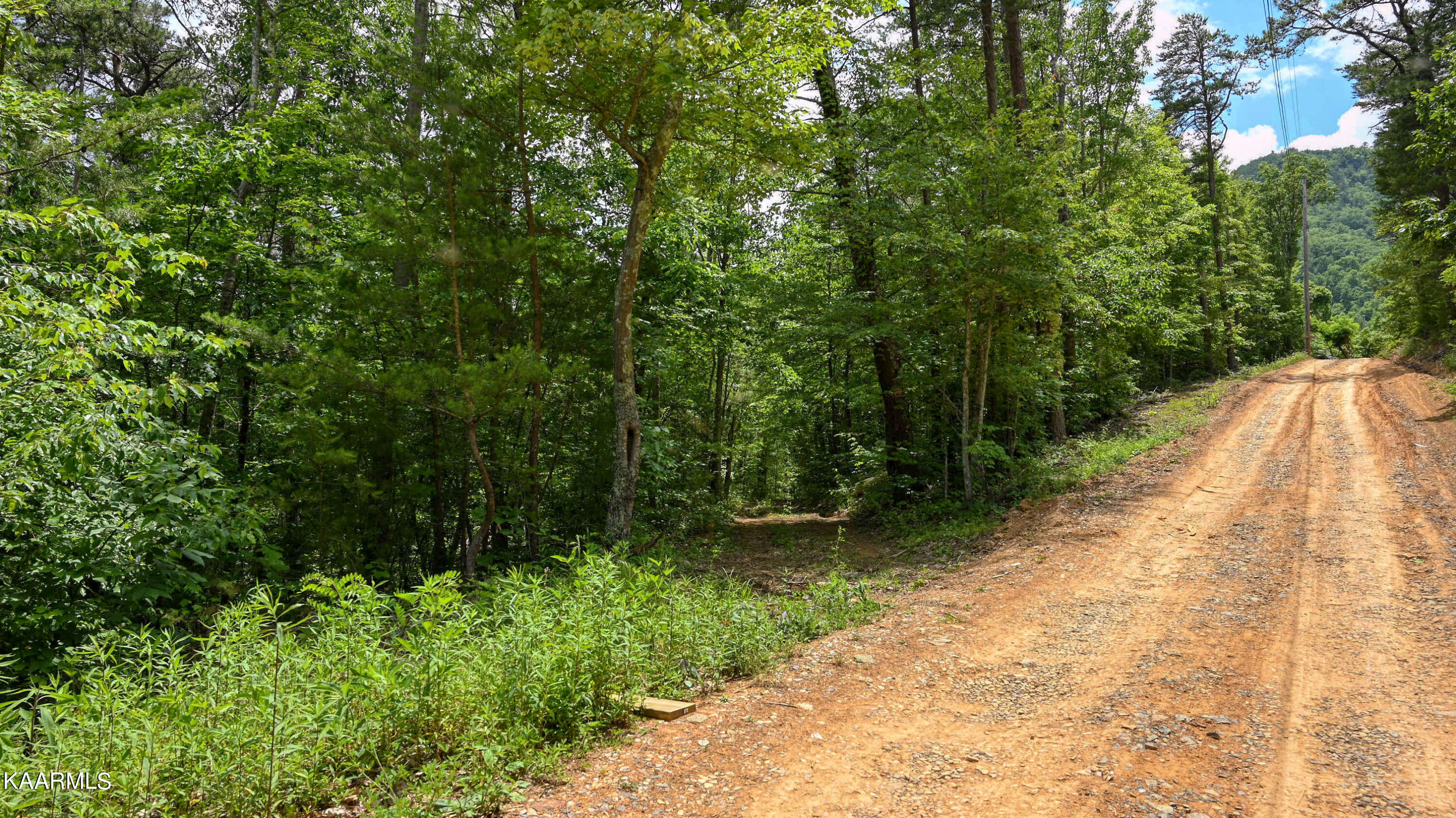 2049 Seagle Hollow Road Sevierville, TN 37876 - Photo 8 of 10 SL6_1029