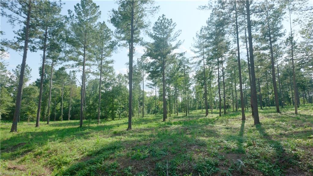 6 Carson Road Cleveland, NC 27013 - Photo 1 of 30