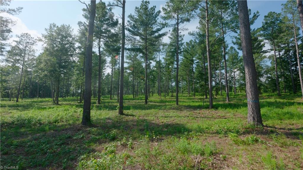 6 Carson Road Cleveland, NC 27013 - Photo 11 of 30