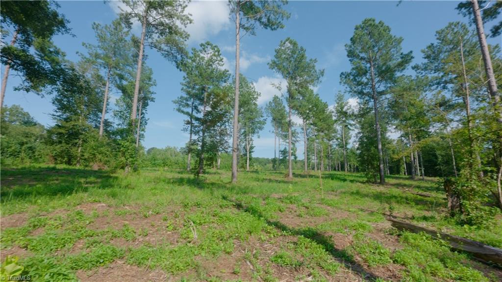 6 Carson Road Cleveland, NC 27013 - Photo 12 of 30