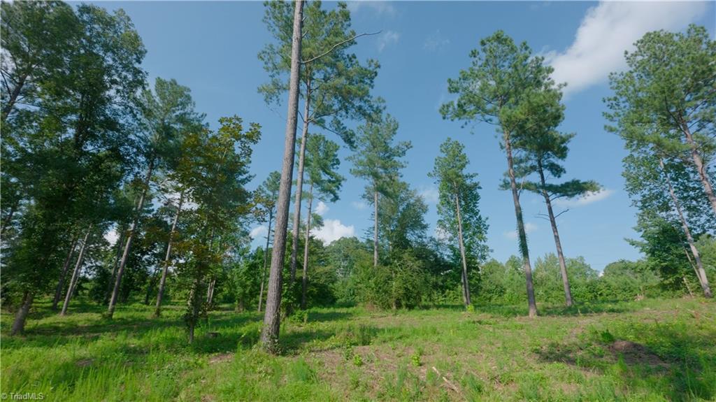 6 Carson Road Cleveland, NC 27013 - Photo 13 of 30