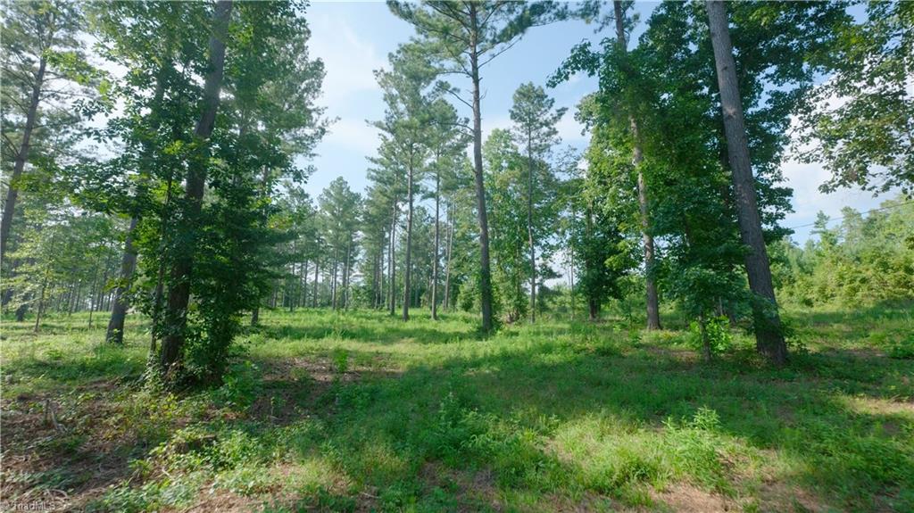 6 Carson Road Cleveland, NC 27013 - Photo 6 of 30