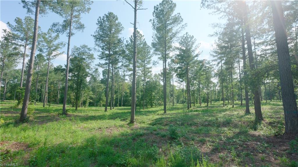 6 Carson Road Cleveland, NC 27013 - Photo 10 of 30