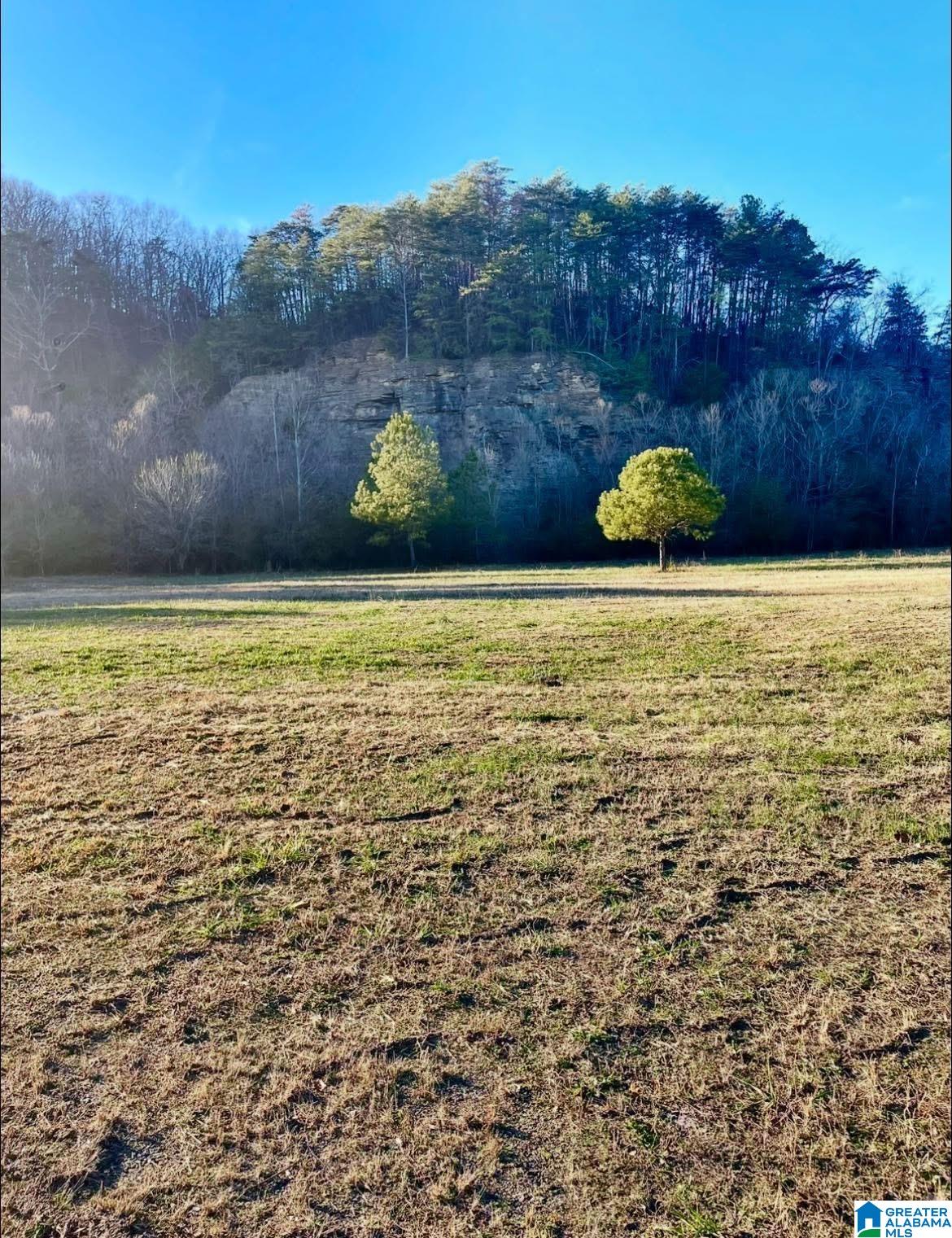 2219 Lincoln Road, Unit 1 Cleveland, AL 35049 - Photo 1 of 1