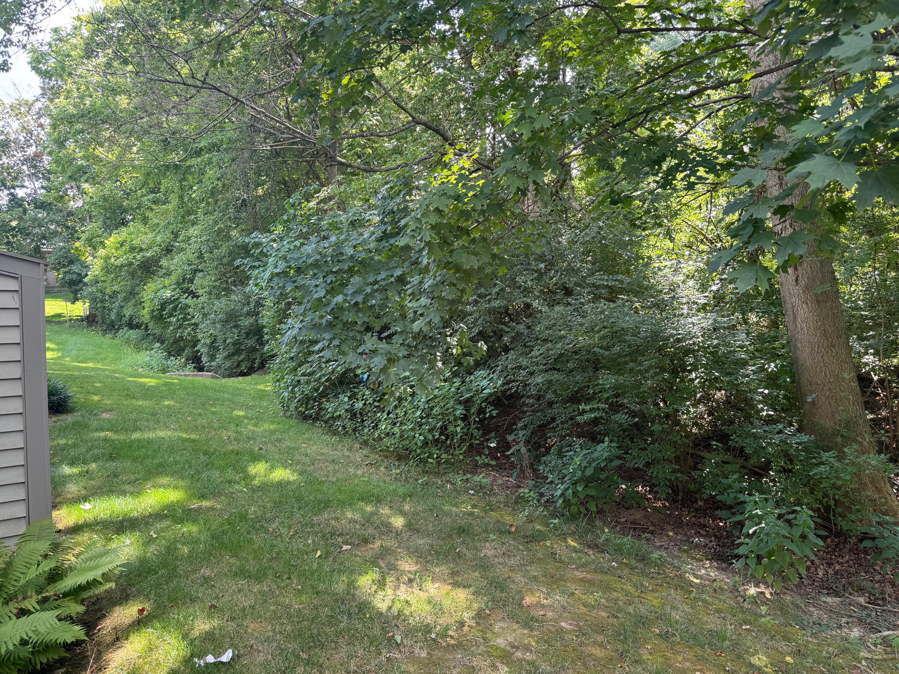 36 Spring Place Newport, KY 41076 - Photo 31 of 31 Gallery Image 31