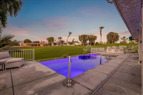 a view of a yard with plants and trees