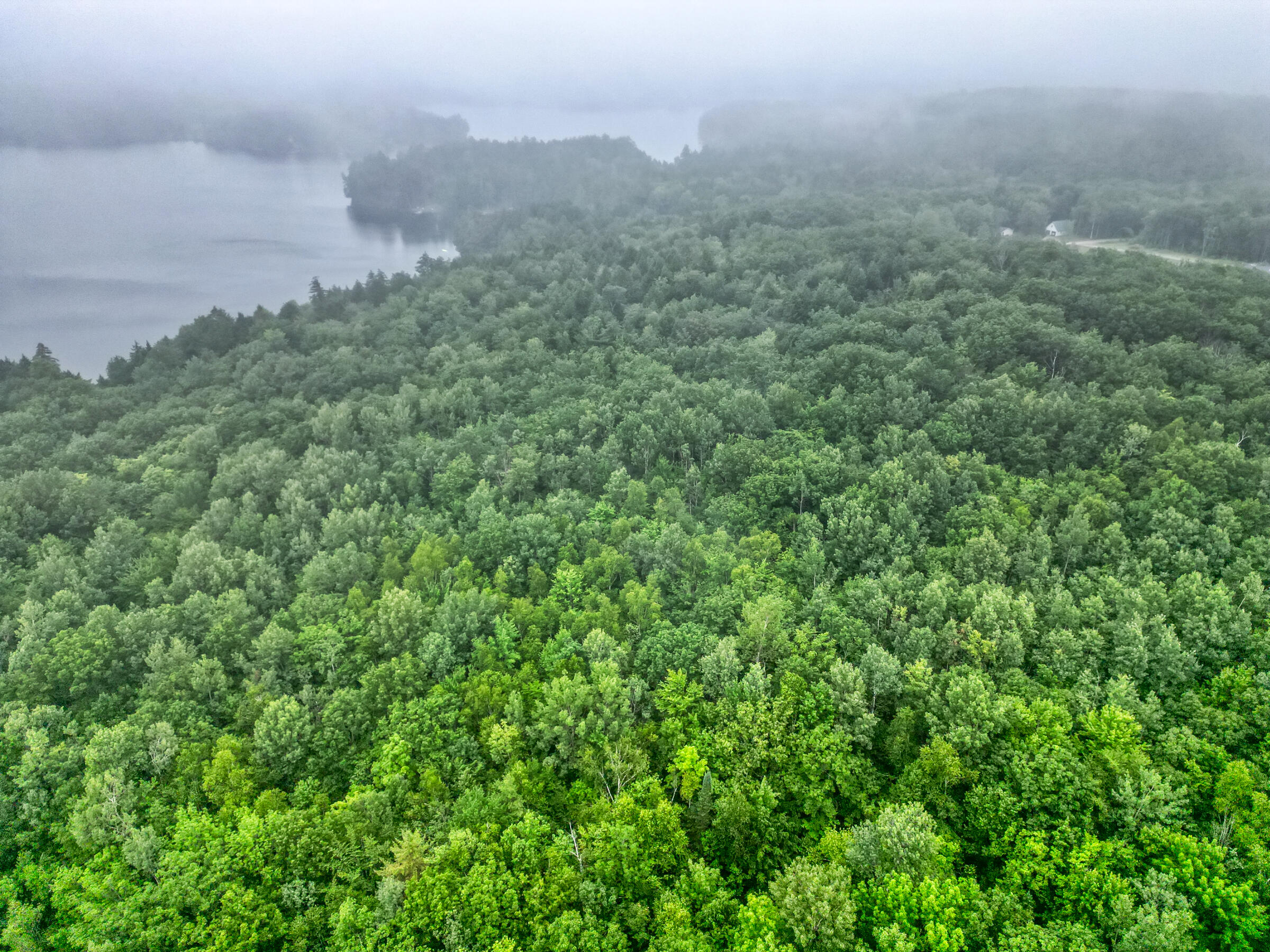 Lot25-32 Lewiston Road Litchfield, ME 04350 - Photo 11 of 11 109213ae-124