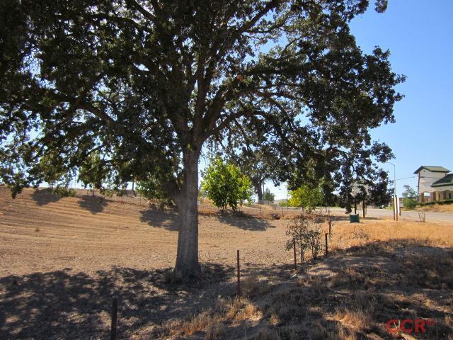 2940 Union Road Paso Robles, CA 93446 - Photo 6 of 13 Additional Photo