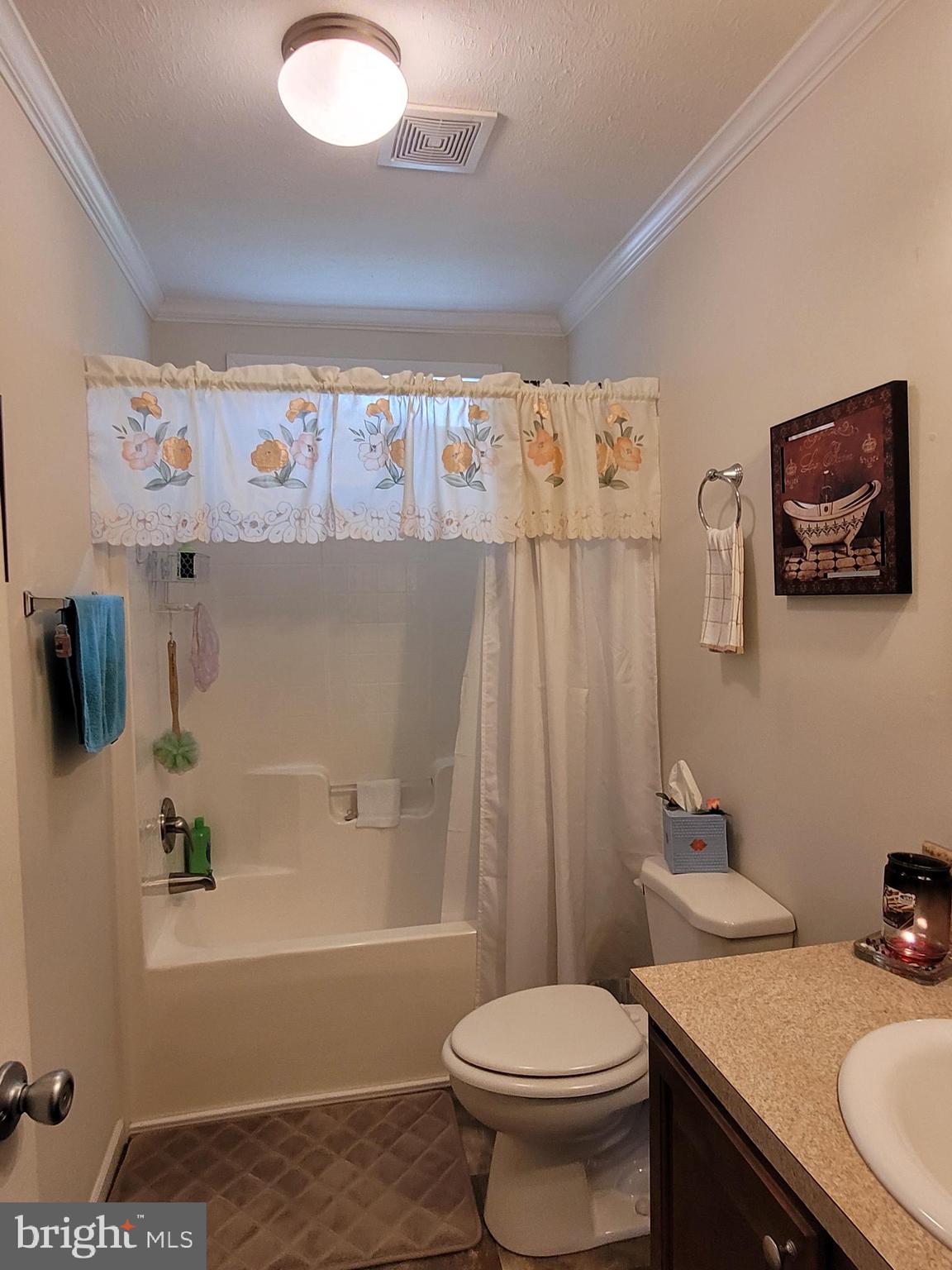 5809 Homestead Street Salisbury, MD 21801 - Photo 17 of 33 Hall Bath w/stall shower/tub