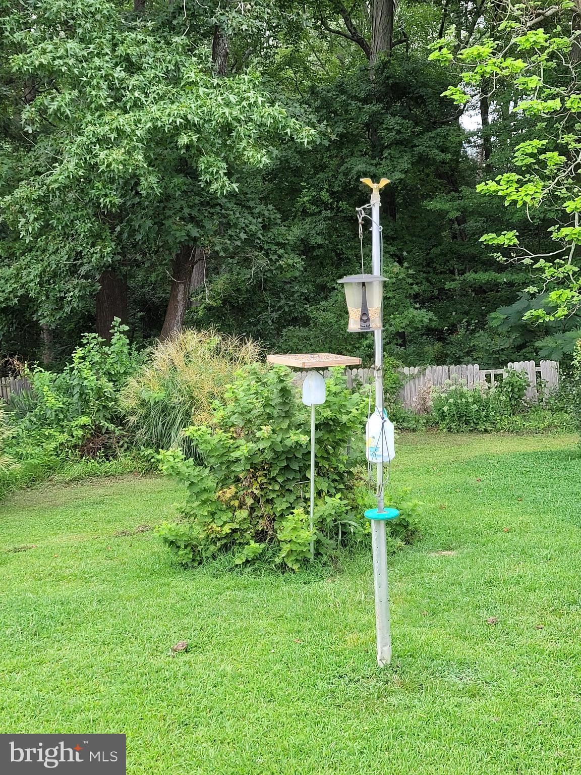5809 Homestead Street Salisbury, MD 21801 - Photo 23 of 33 Beautiful landscape & friendly visitors