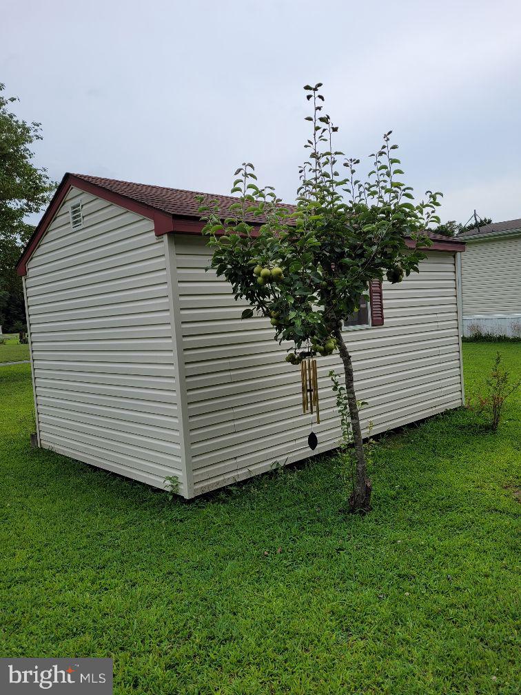 5809 Homestead Street Salisbury, MD 21801 - Photo 26 of 33 Pear tree