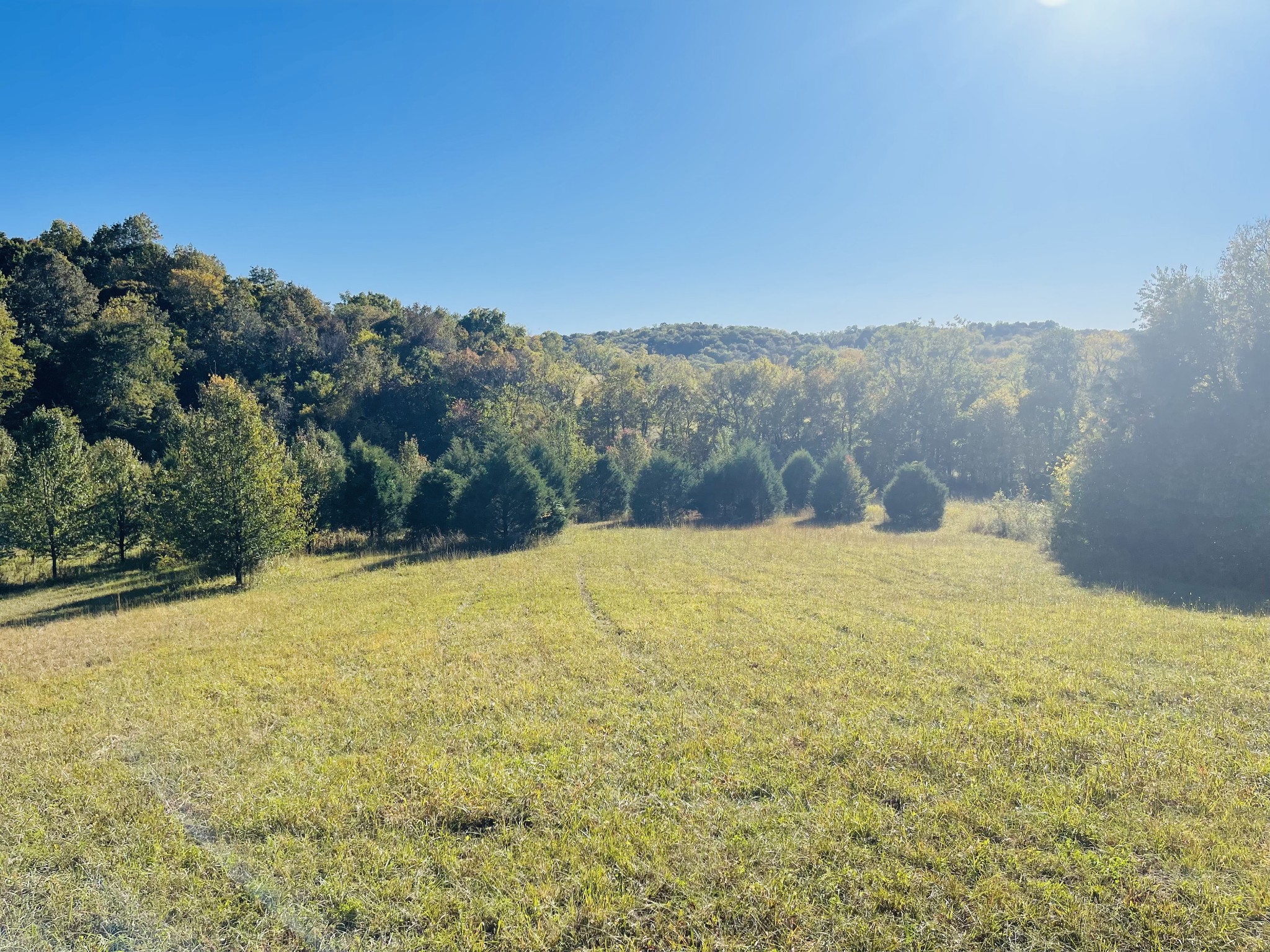 2675 Pullens Mill Road Culleoka, TN 38451 - Photo 15 of 30 Gallery Image 15