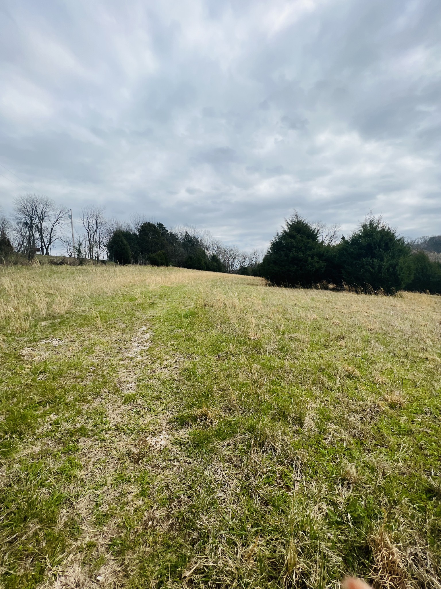 2675 Pullens Mill Road Culleoka, TN 38451 - Photo 18 of 30 Gallery Image 18