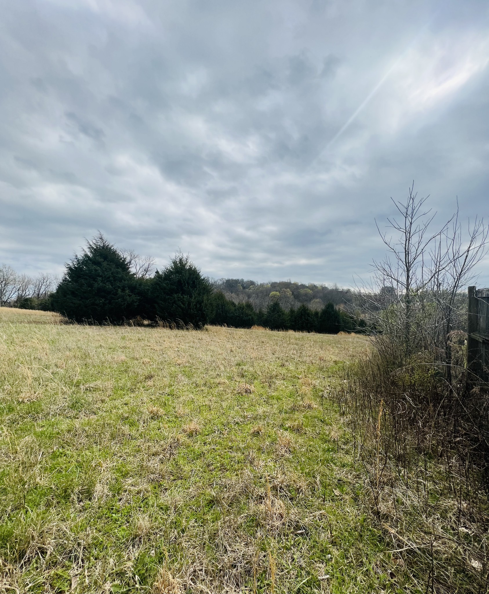 2675 Pullens Mill Road Culleoka, TN 38451 - Photo 19 of 30 Gallery Image 19