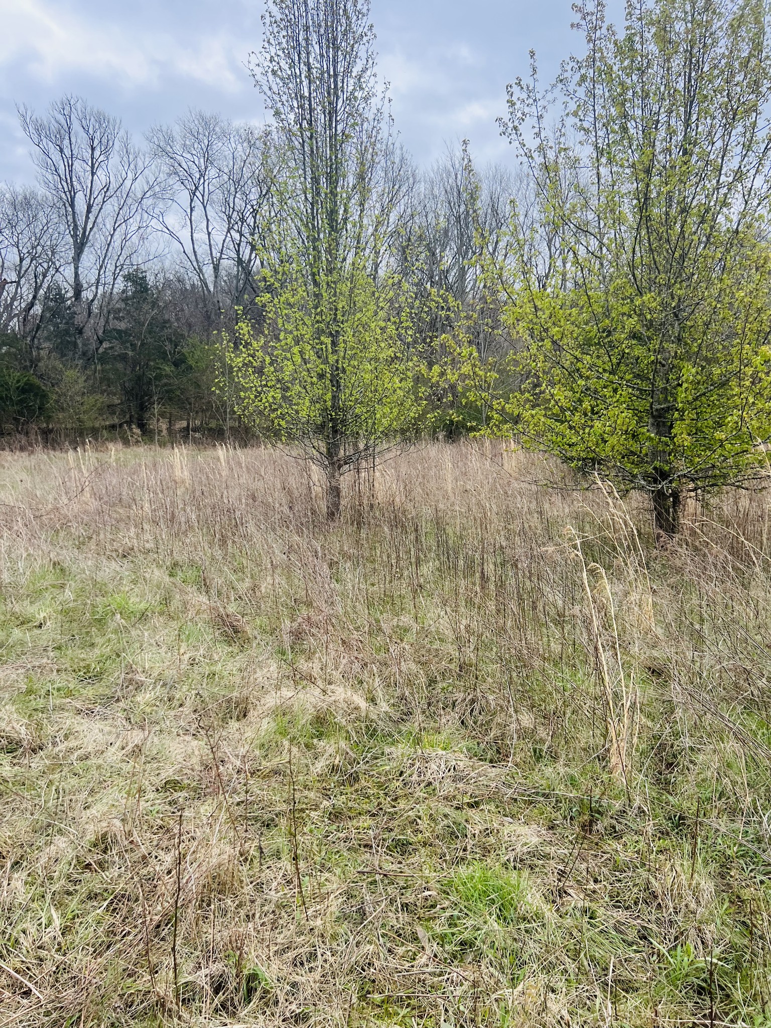 2675 Pullens Mill Road Culleoka, TN 38451 - Photo 20 of 30 Gallery Image 20