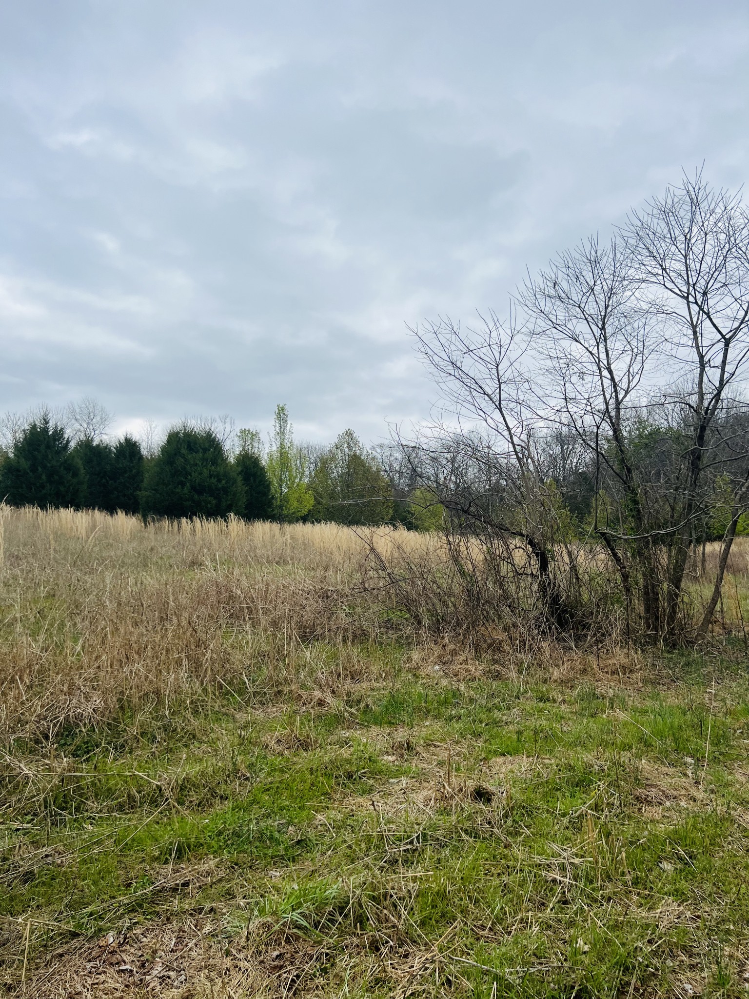 2675 Pullens Mill Road Culleoka, TN 38451 - Photo 21 of 30 Gallery Image 21